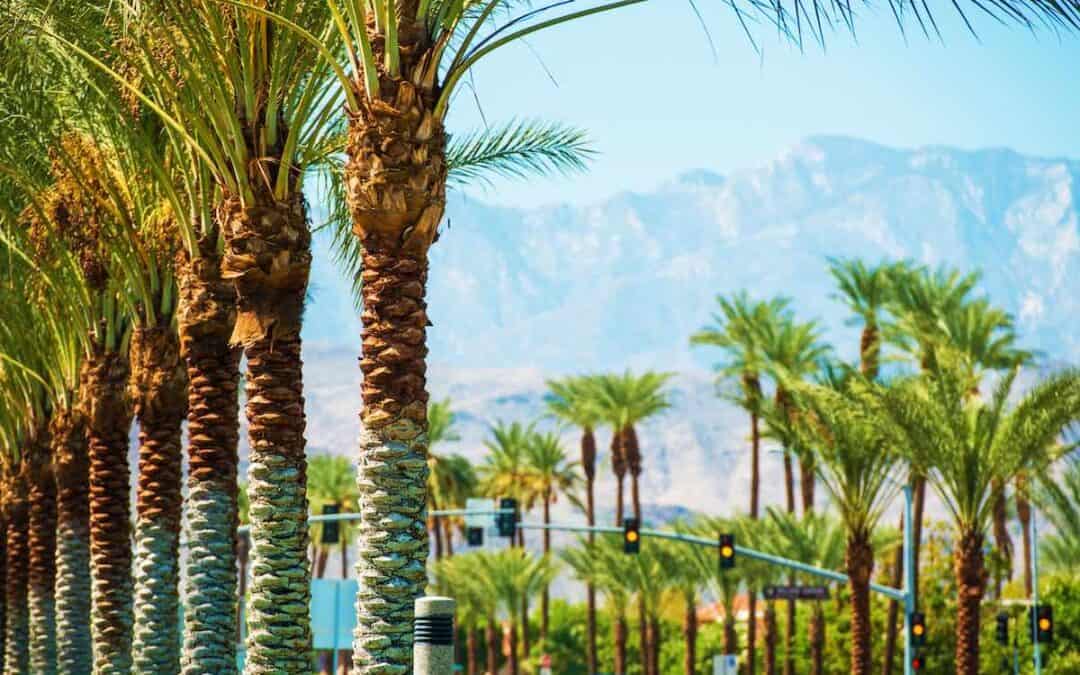 What is the Weather Like in Palm Desert, California?